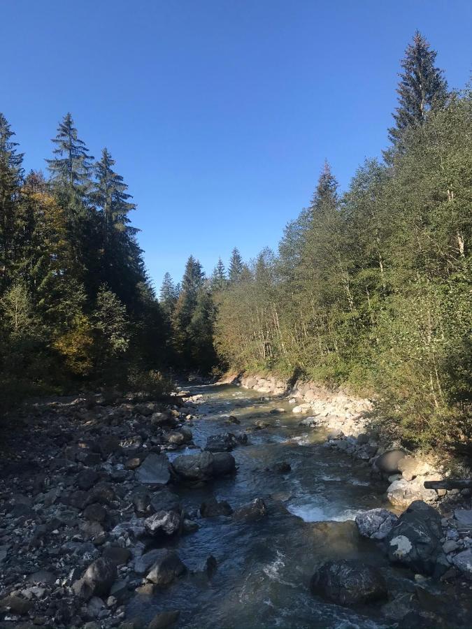 Ferienwohnung Morgentau Am Rande Der Wildnis Sibratsgfäll Exterior foto